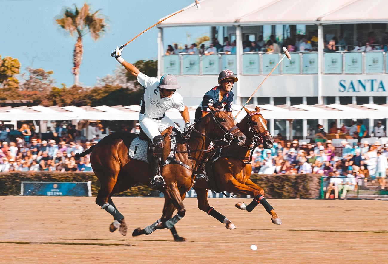 Sotogrande – Športy